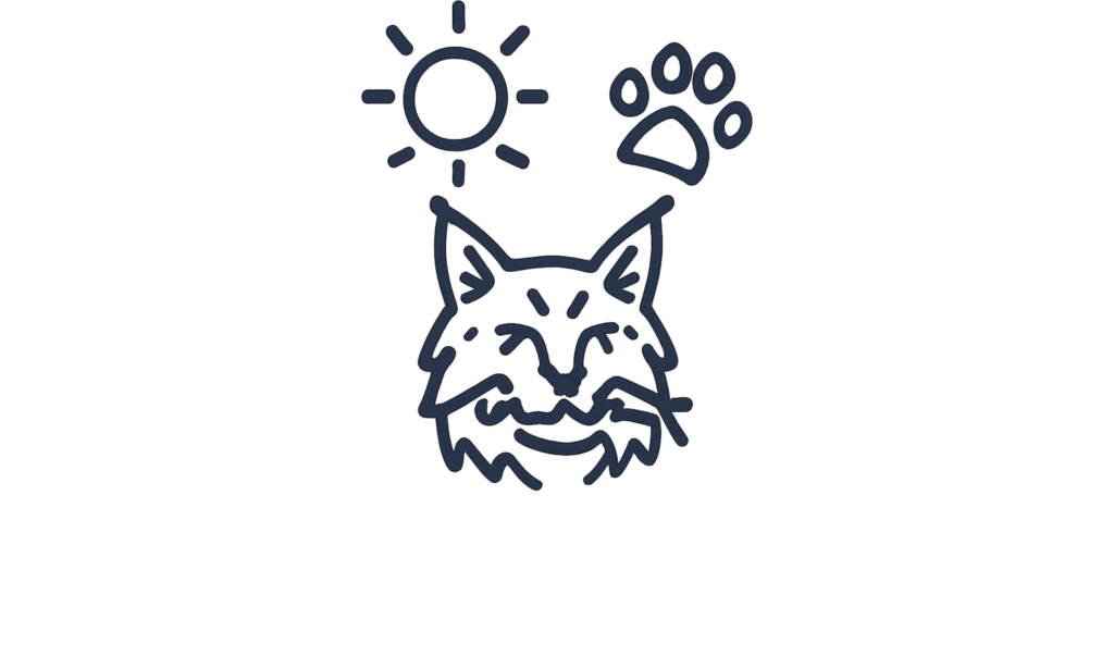 Sunshine paws maine coon