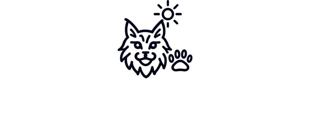 Mason paws maine coon